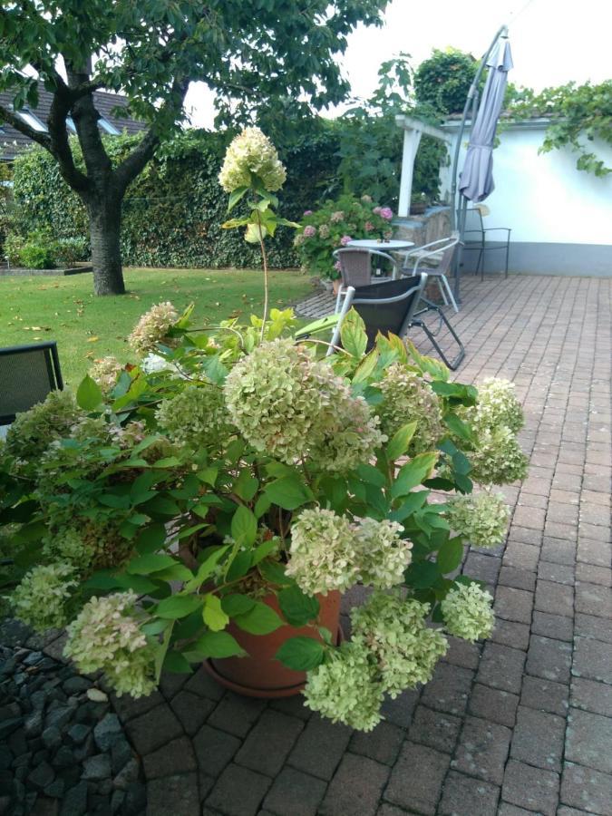 Ferienwohnung Kirschblüte Billigheim-Ingenheim Exterior foto